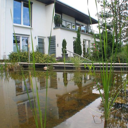 Ferienwohnung In Waldrandlage Zierenberg 外观 照片